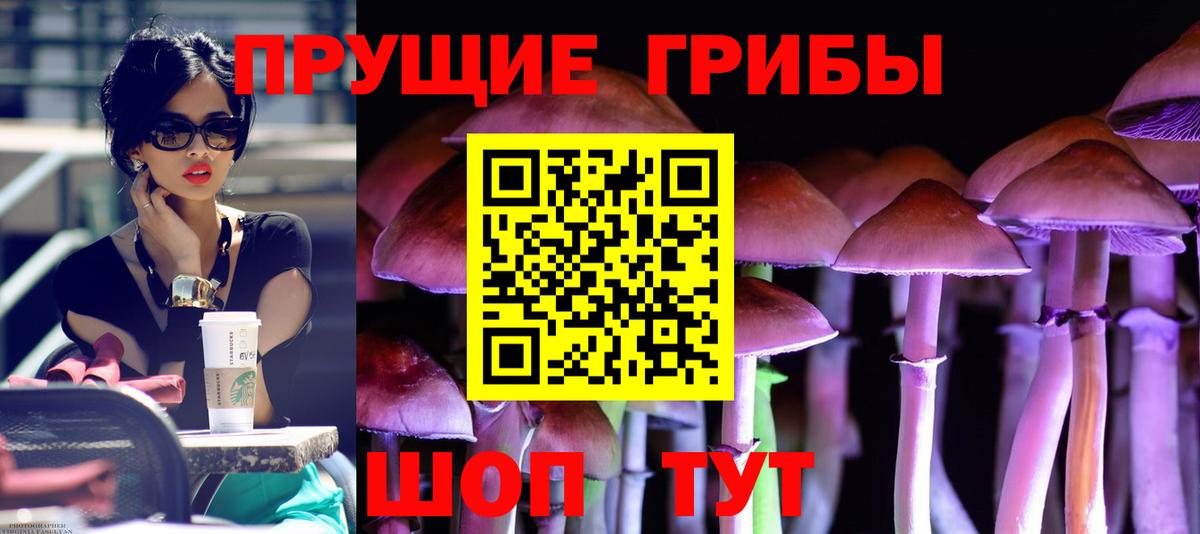 Галлюциногенные грибы мицелий  Вход с VPN  Якутск 